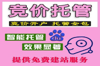 百度推广价格策略：成功案例分享